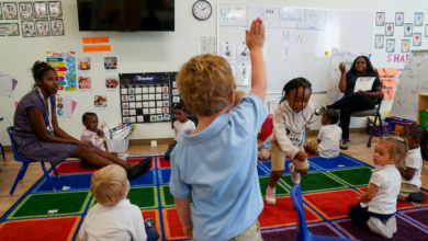 Innovative Learning Approaches: Redefining Early Childhood Education at Celebree School