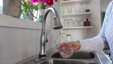 Transforming Your Culinary Experience With Pure Water from Culligan of Red Wing