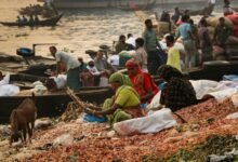 market dynamics contact numbers