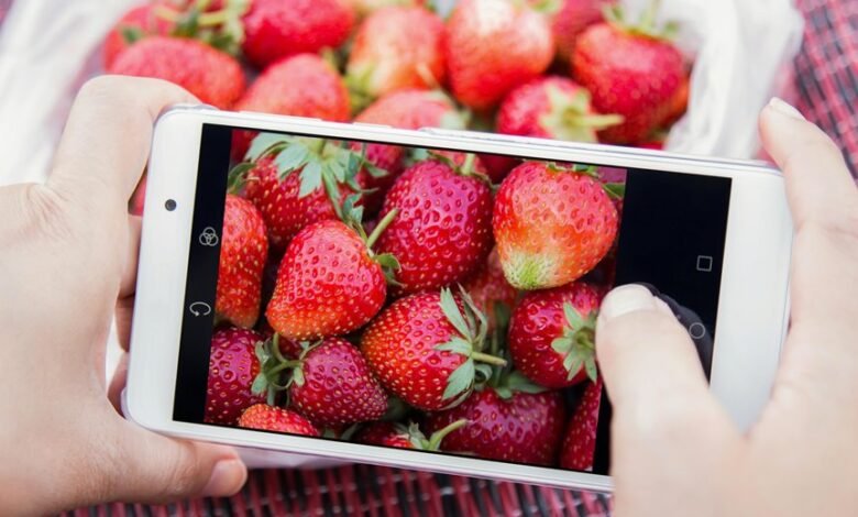 market penetration data overview