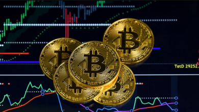 Solana Current Price vs Market Cap: What’s the Difference? (Beginner-Friendly Guide)