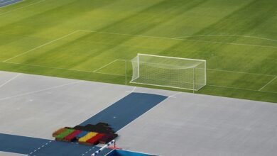 competitive analysis of codes