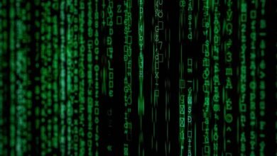 global operations data set