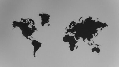 global operations overview report