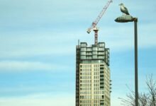 business expansion strategy engine