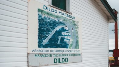 digital authority growth strategy