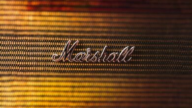 online strength brand system