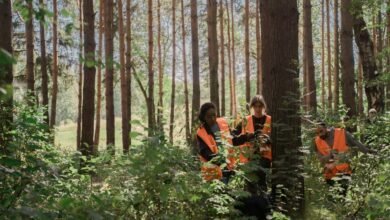 search strength online visibility