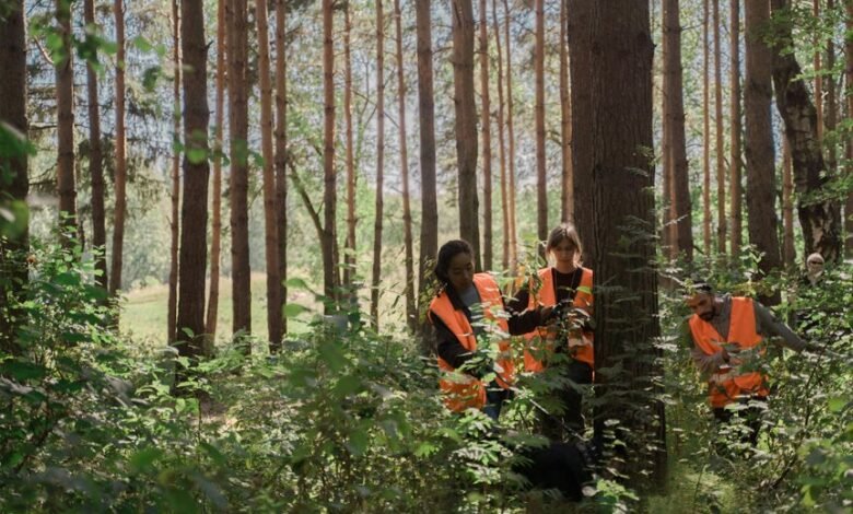 search strength online visibility